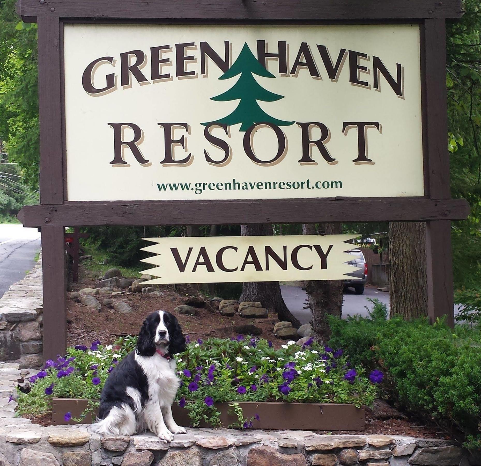 Green Haven Resort レイク・ジョージ エクステリア 写真
